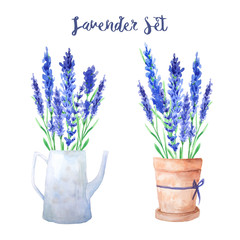Watercolor Lavender bouquets set