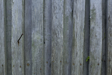 A wooden wall with hammered nail.