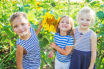 Kids having fun in sunflowers