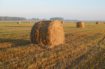 Cleaning of cereals.
