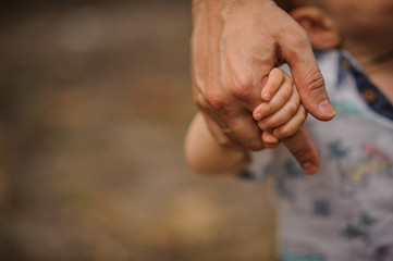 father's hand lead his child son in summer forest nature outdoor,