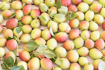 Ripe sweet yellow red pears background
