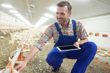 Farmer checking the feeding mechanism © gpointstudio