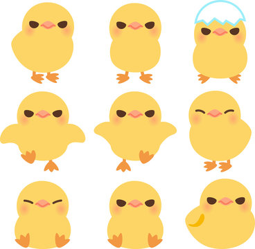 1 909 Best ヒヨコ Images Stock Photos Vectors Adobe Stock