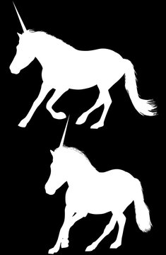 two unicorn white silhouettes isolated on black