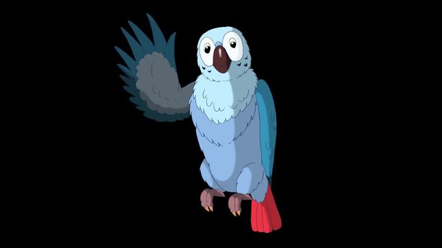 Blue Parrot Greets. Animated footage with alpha channel. Looped motion graphic.