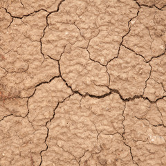dry cracked earth. background