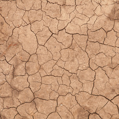 dry cracked earth. background