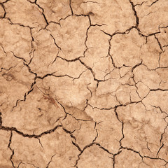 dry cracked earth. background