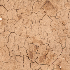 dry cracked earth. background