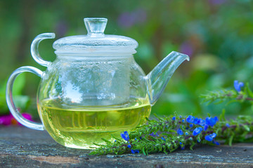 green tea in beautiful cup