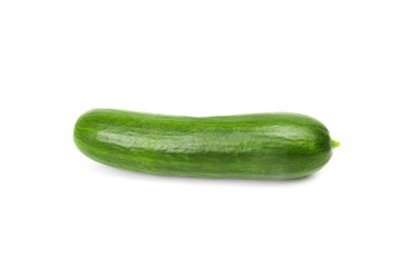 One shiny green cucumber