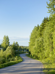 Curvy asphalt road in the summer time.