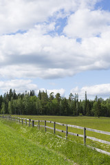 Fototapeta na wymiar Wooden fence on a green field with blue sky and clouds. Image taken on a sunny day in Finland.