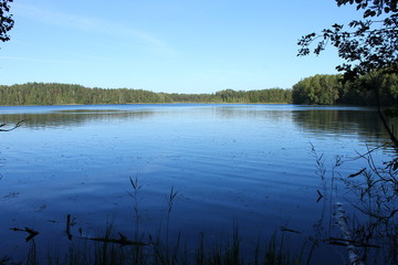 Озеро в летнем лесу © heshixin