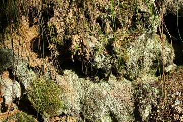 Фон песчаного склона