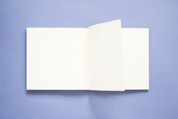 Opened blank notebooks