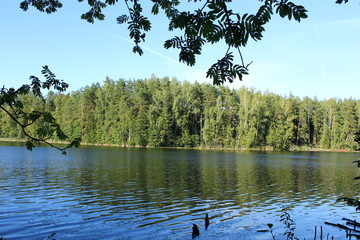 Озеро в летнем лесу © heshixin