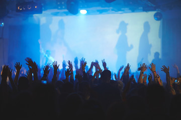 Fototapeta na wymiar Rear view of audience going crazy at concert, hands up in the air in dark blue-lit music hall