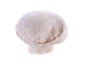 Champignon mushroom isolated on white background