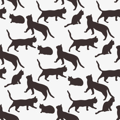 Background of the cats.