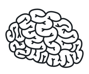 brain storm isolated icon vector illustration design