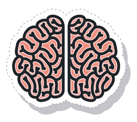 brain storm isolated icon vector illustration design