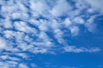 Obraz premium The sky with soft clouds.