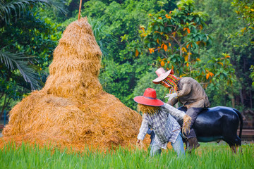 Scarecrow in a Thai Rice Field