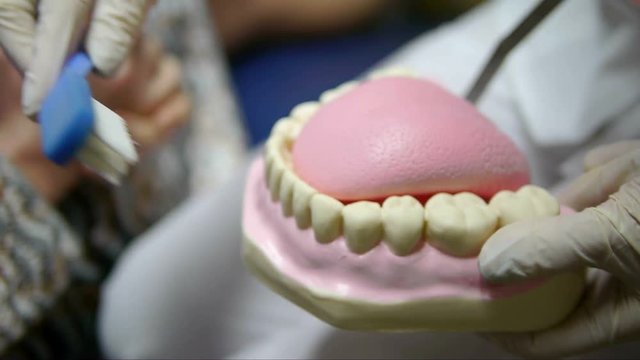 Dentist showing how to clean teeth