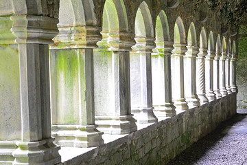 Abbey ruins, Quin, Ireland