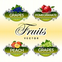 Fruits. Vector. Grapes, pomegranate, peach