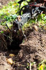 potato Collecting mini tractors plow