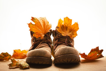 Autumn boots and yellow foliage