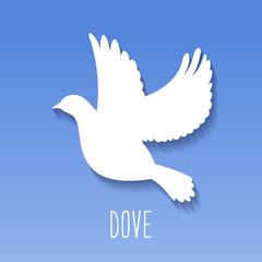 Dove Icon on blue background.