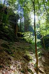 Sächsische Schweiz 01