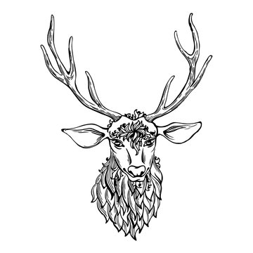 Hand drawn doodle deer