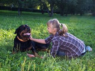 Girl plays with a huge Rottweiler dog on the green grass