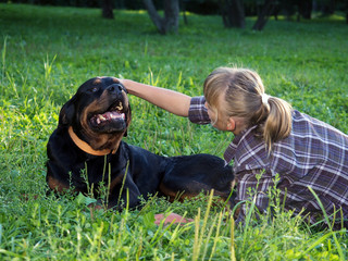 Girl plays with a huge Rottweiler dog on the green grass