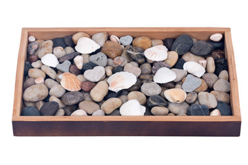 Stones and shells in wooden try separated on white background