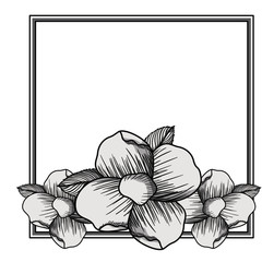elegant frame with floral decoration vector illustration design
