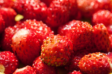 Wild strawberries macro shot
