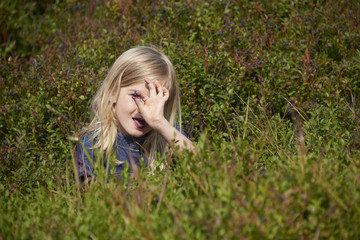 Naklejka na ściany i meble Child blond little girl picking fresh berries on blueberry field in forest. 