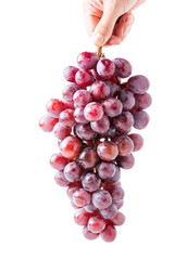 fresh grape in hand isolated