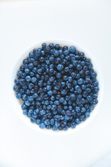 blueberries on a white background summer