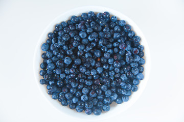 blueberries on a white background summer