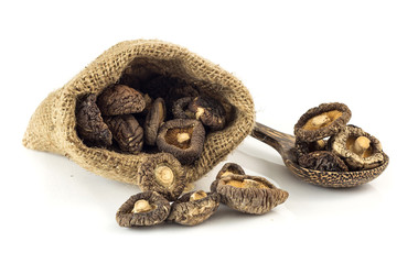 Dried shiitake mushrooms on white