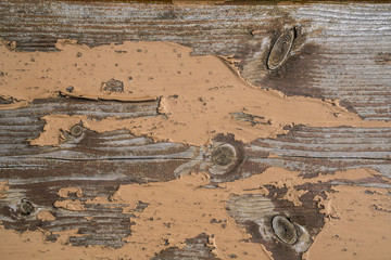 Large and detailed picture of wooden texture and structure