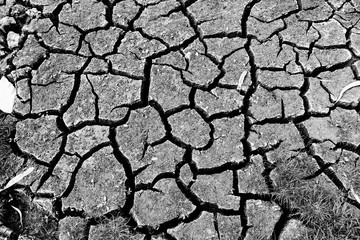 Dry soil Arid, drought land