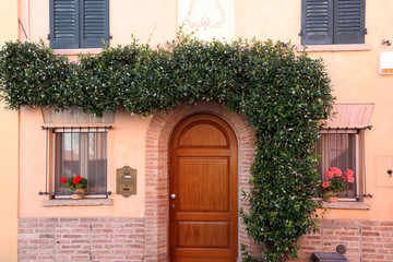 Fototapeta na wymiar House with liana on wall Rimini Italy